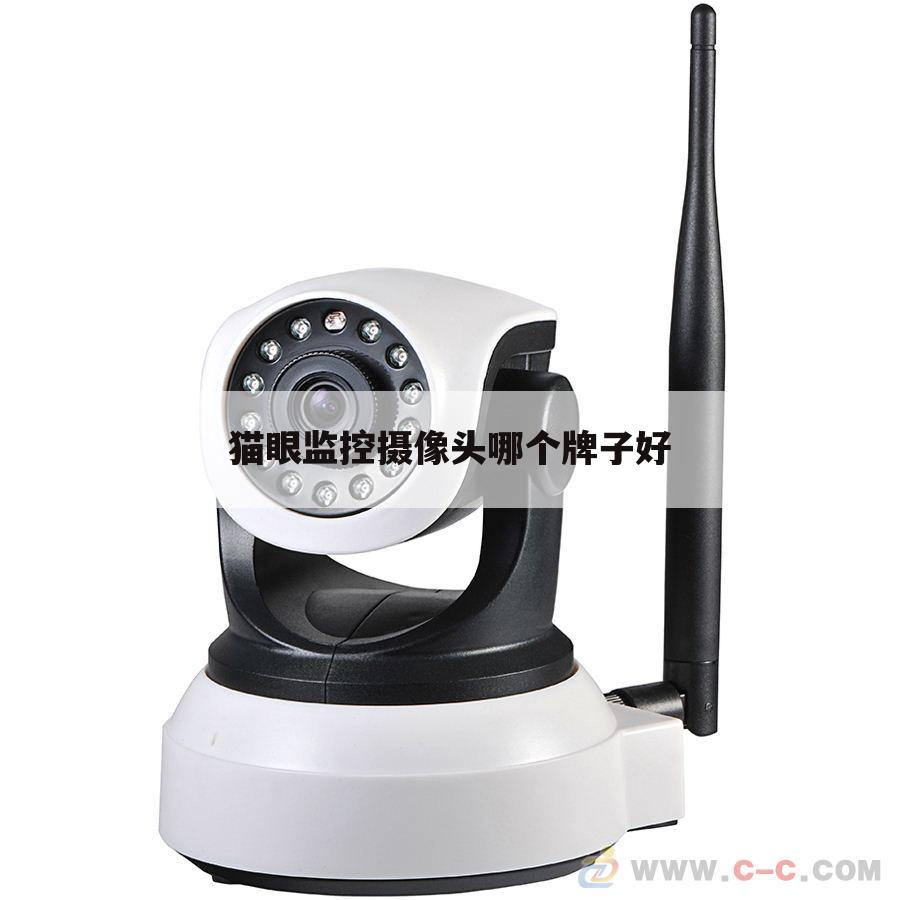 猫眼监控摄像头哪个牌子好