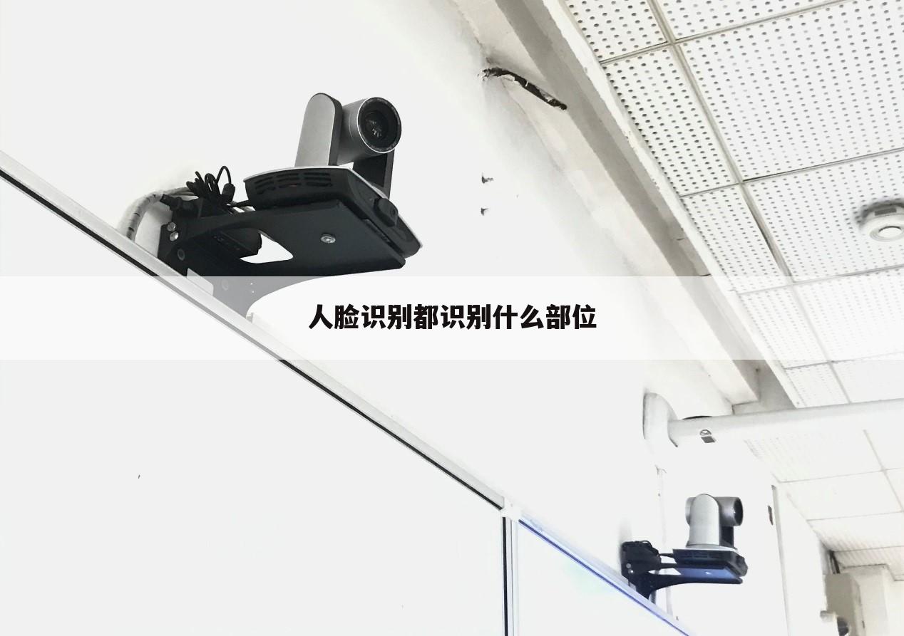 人脸识别都识别什么部位