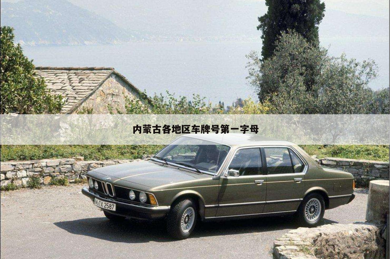 内蒙古各地区车牌号第一字母