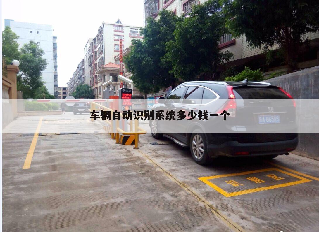 车辆自动识别系统多少钱一个
