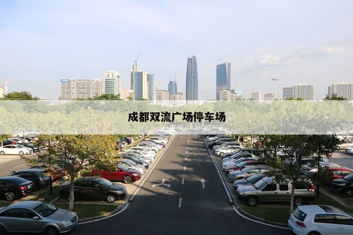 成都双流广场停车场