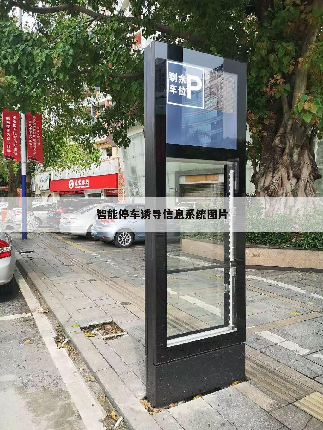 智能停车诱导信息系统图片