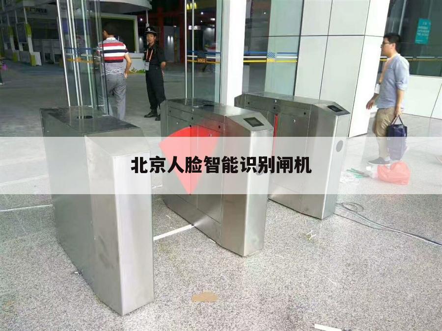 北京人脸智能识别闸机