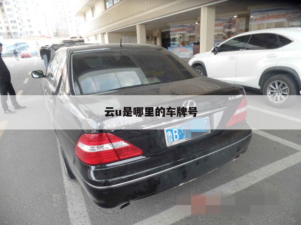 云u是哪里的车牌号