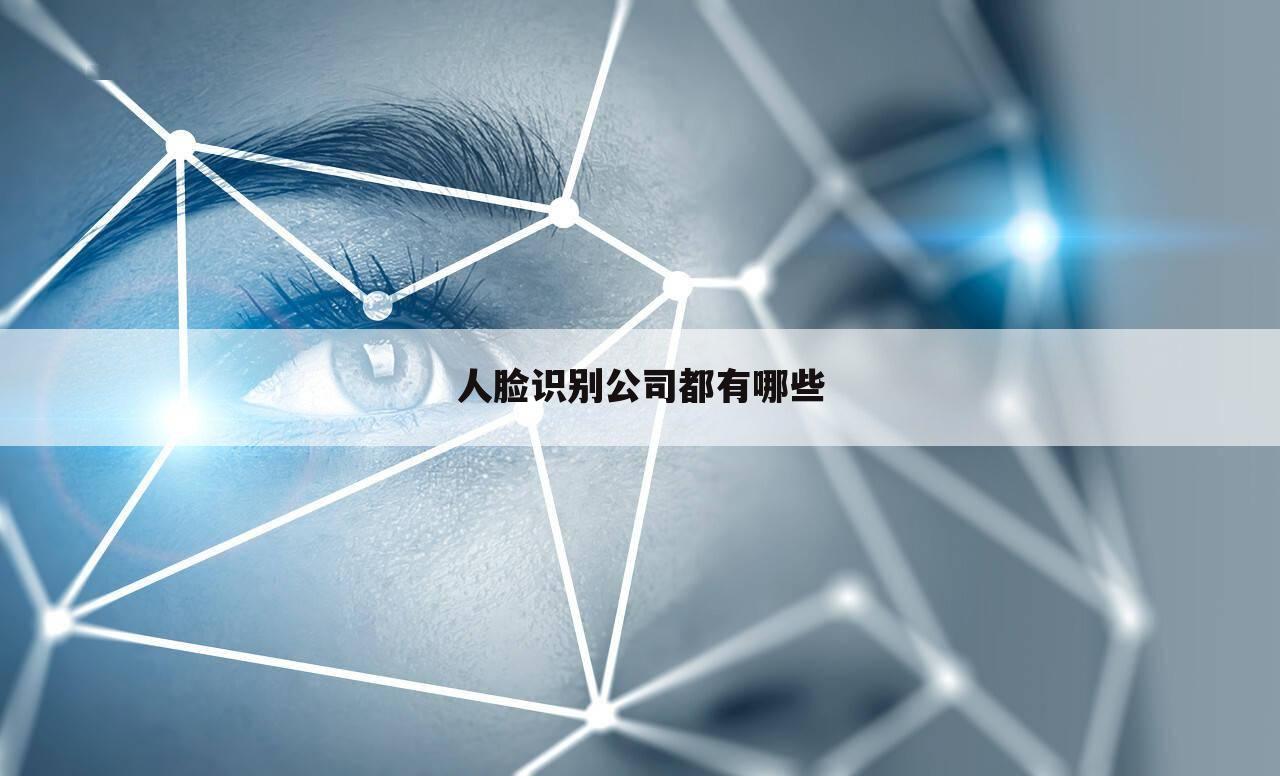 人脸识别公司都有哪些