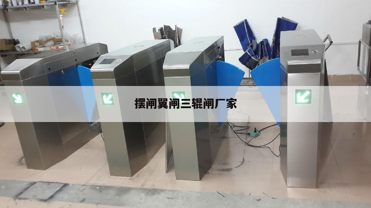 摆闸翼闸三辊闸厂家