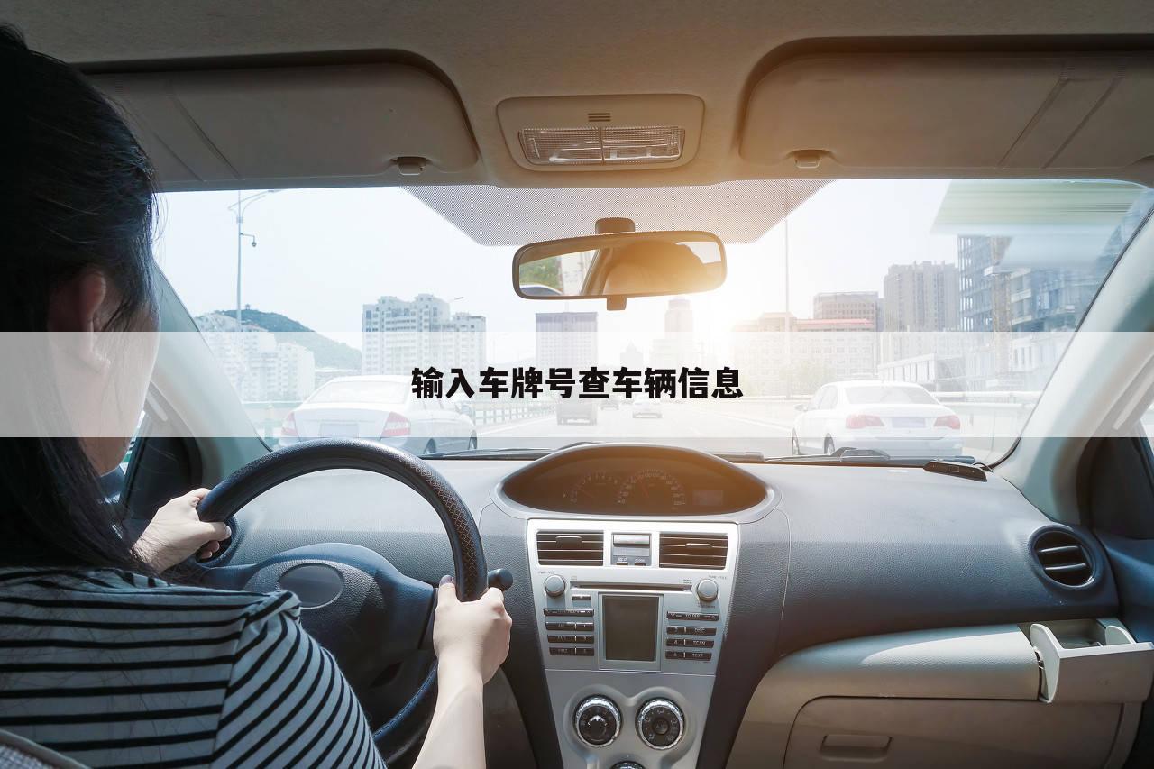 输入车牌号查车辆信息