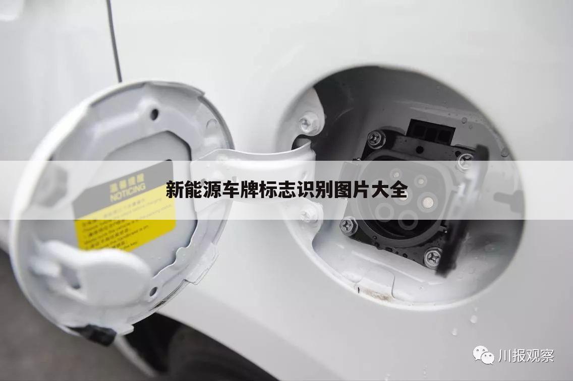 新能源车牌标志识别图片大全
