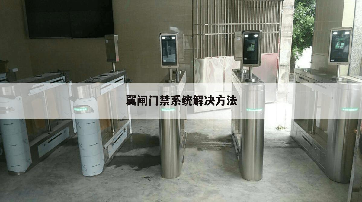 翼闸门禁系统解决方法