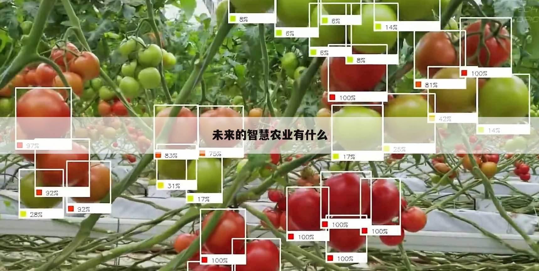 未来的智慧农业有什么