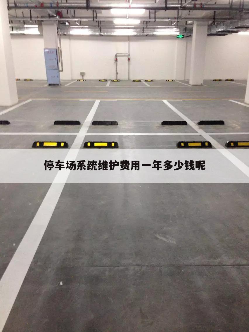 停车场系统维护费用一年多少钱呢