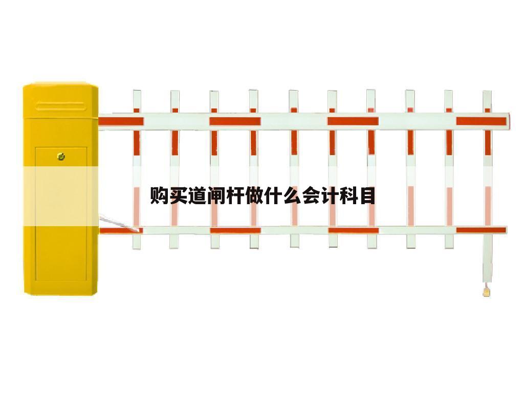 购买道闸杆做什么会计科目