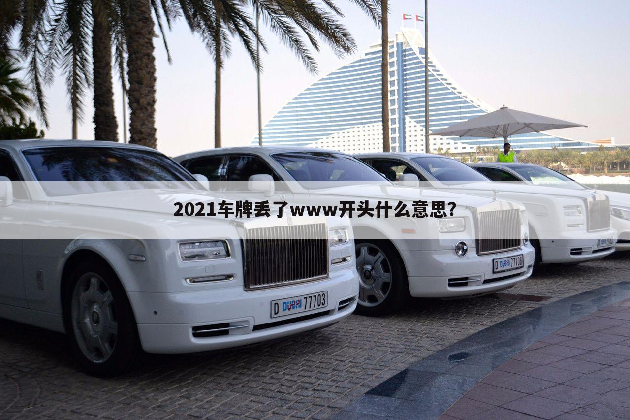 2021车牌丢了www开头什么意思?