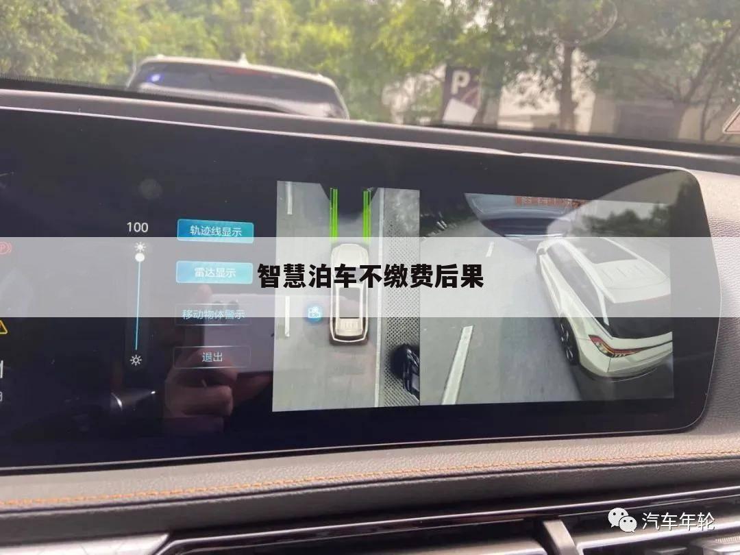 智慧泊车不缴费后果
