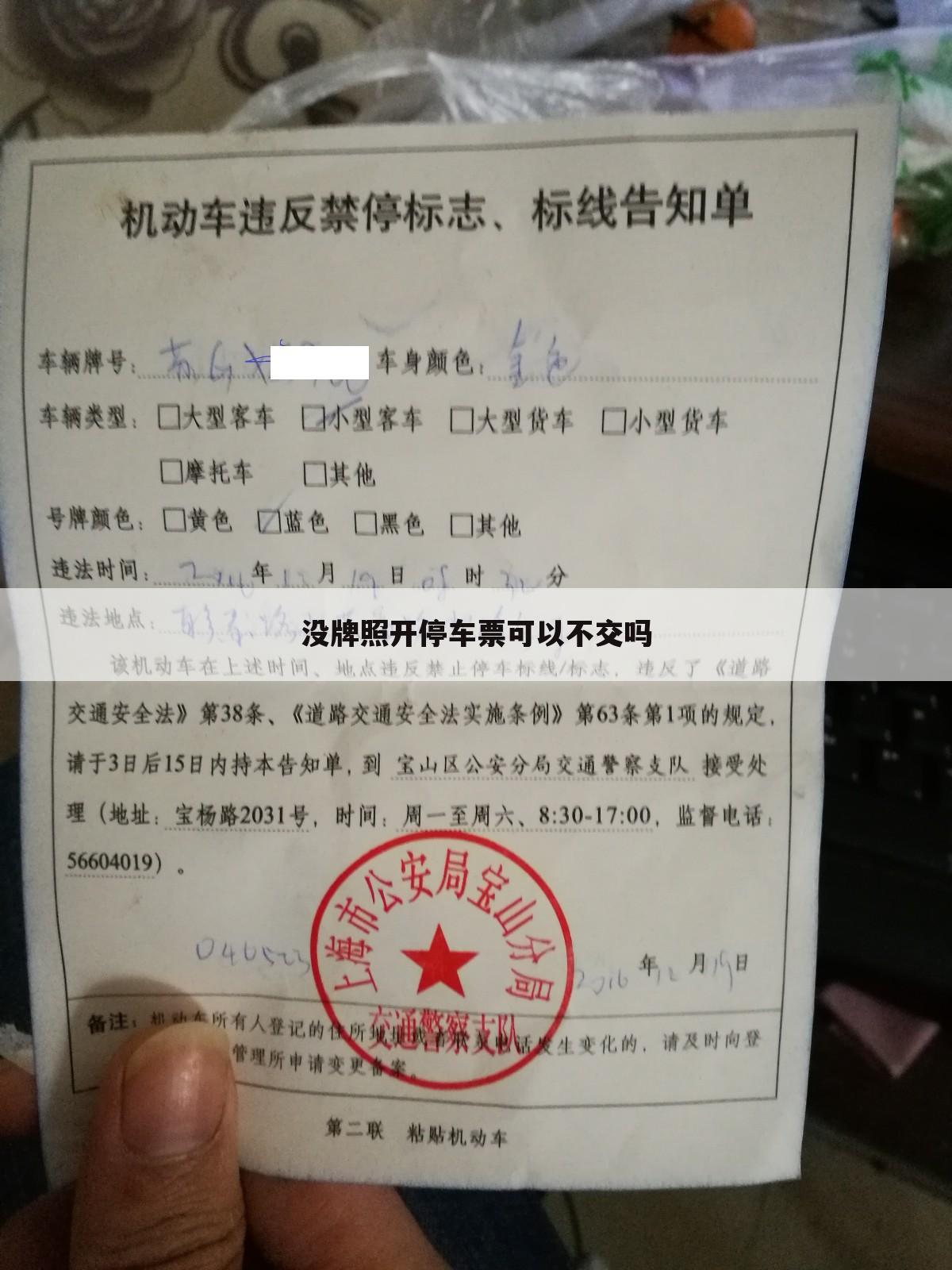 没牌照开停车票可以不交吗