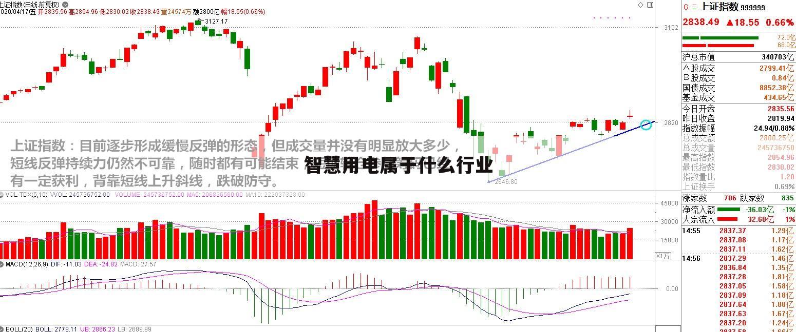 智慧用电属于什么行业