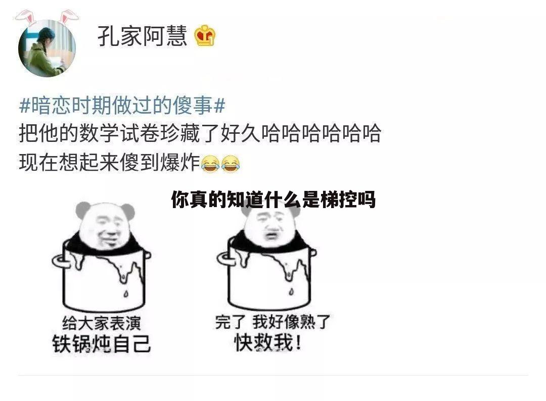 你真的知道什么是梯控吗