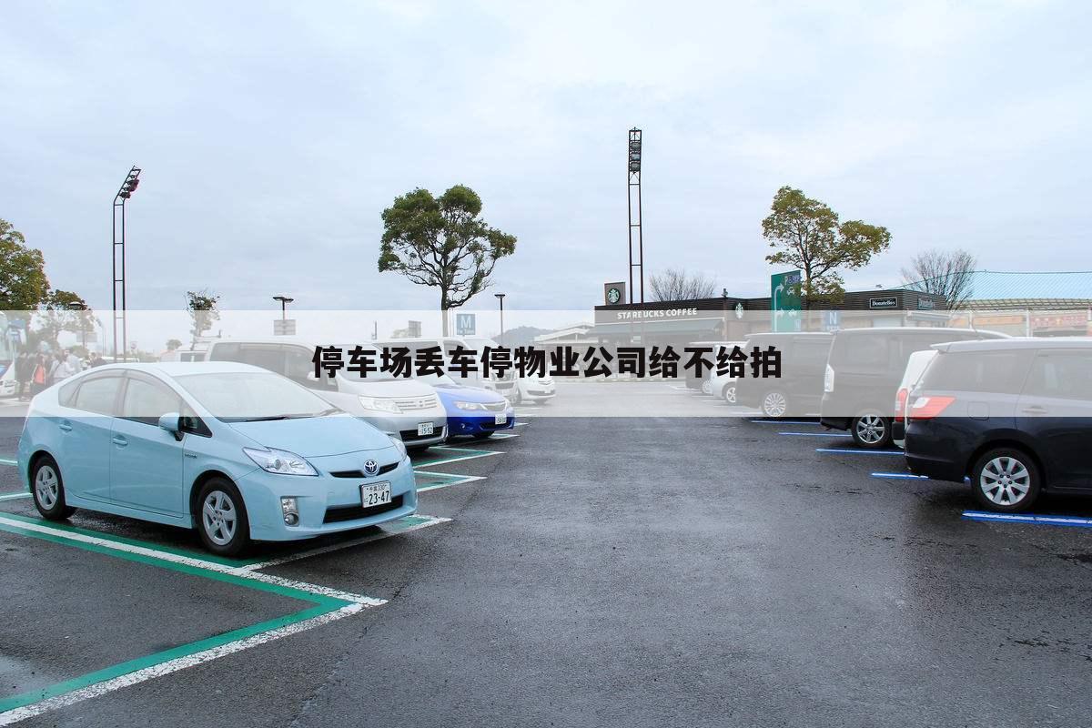 停车场丢车停物业公司给不给拍