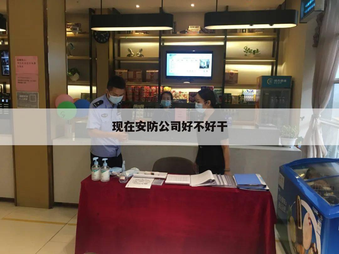 现在安防公司好不好干