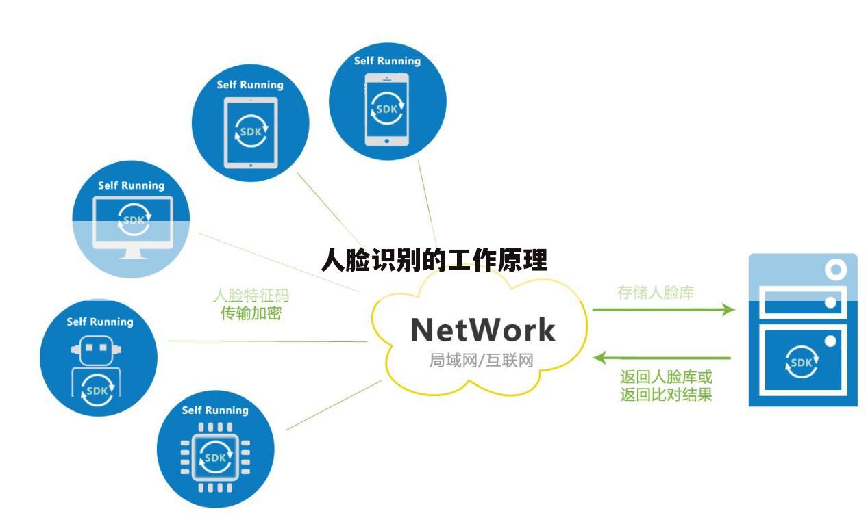 人脸识别的工作原理