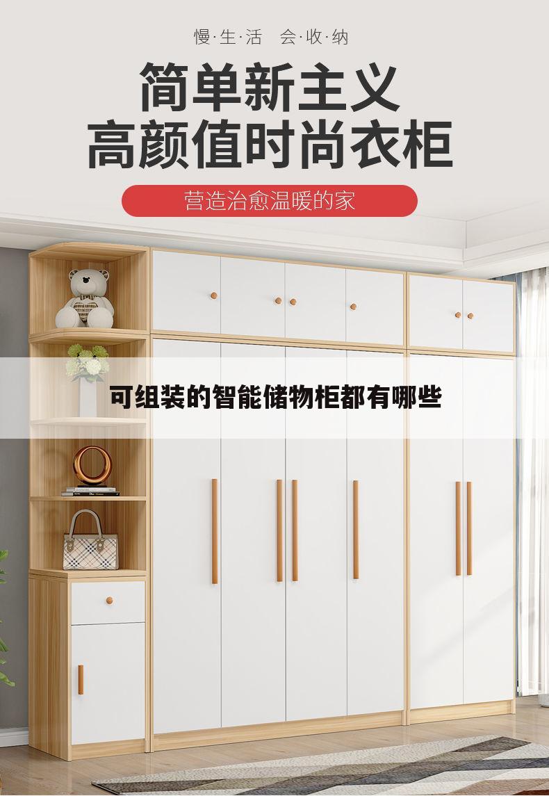 可组装的智能储物柜都有哪些