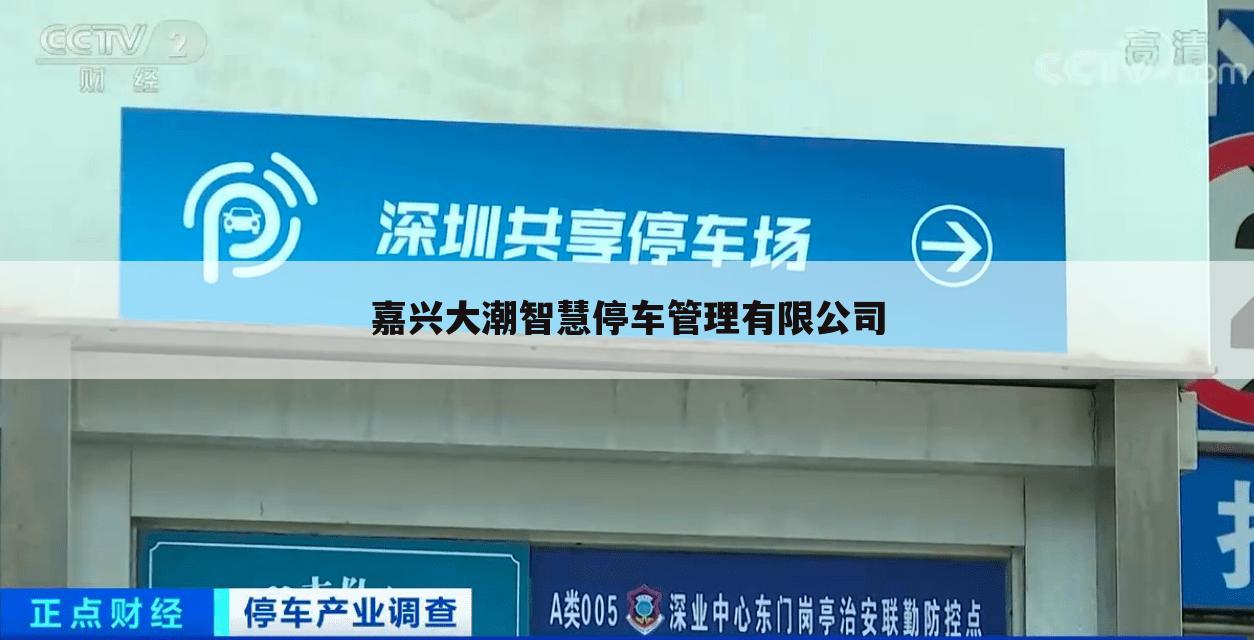 嘉兴大潮智慧停车管理有限公司