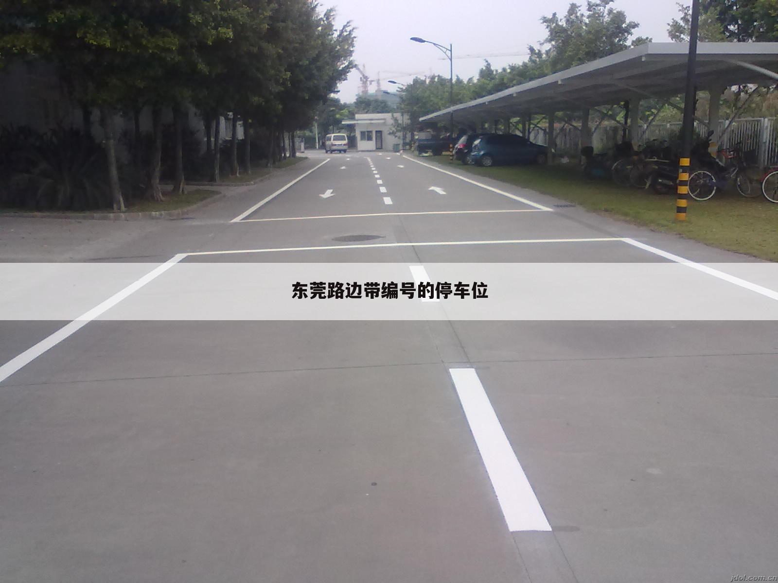 东莞路边带编号的停车位