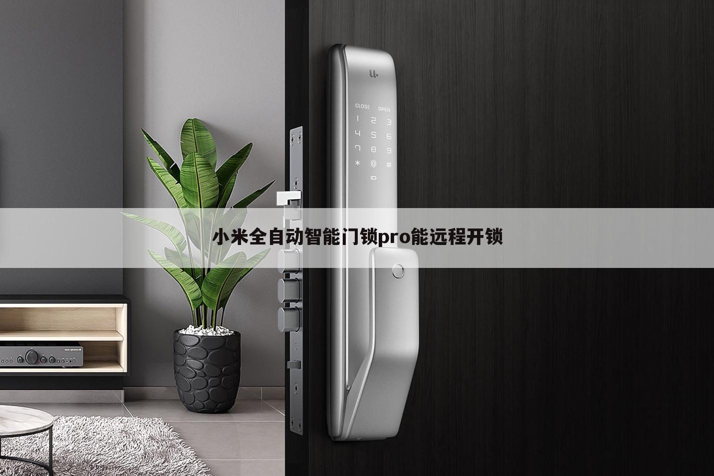 小米全自动智能门锁pro能远程开锁