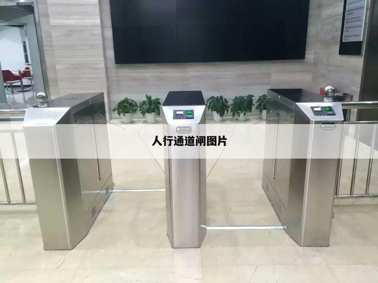人行通道闸图片