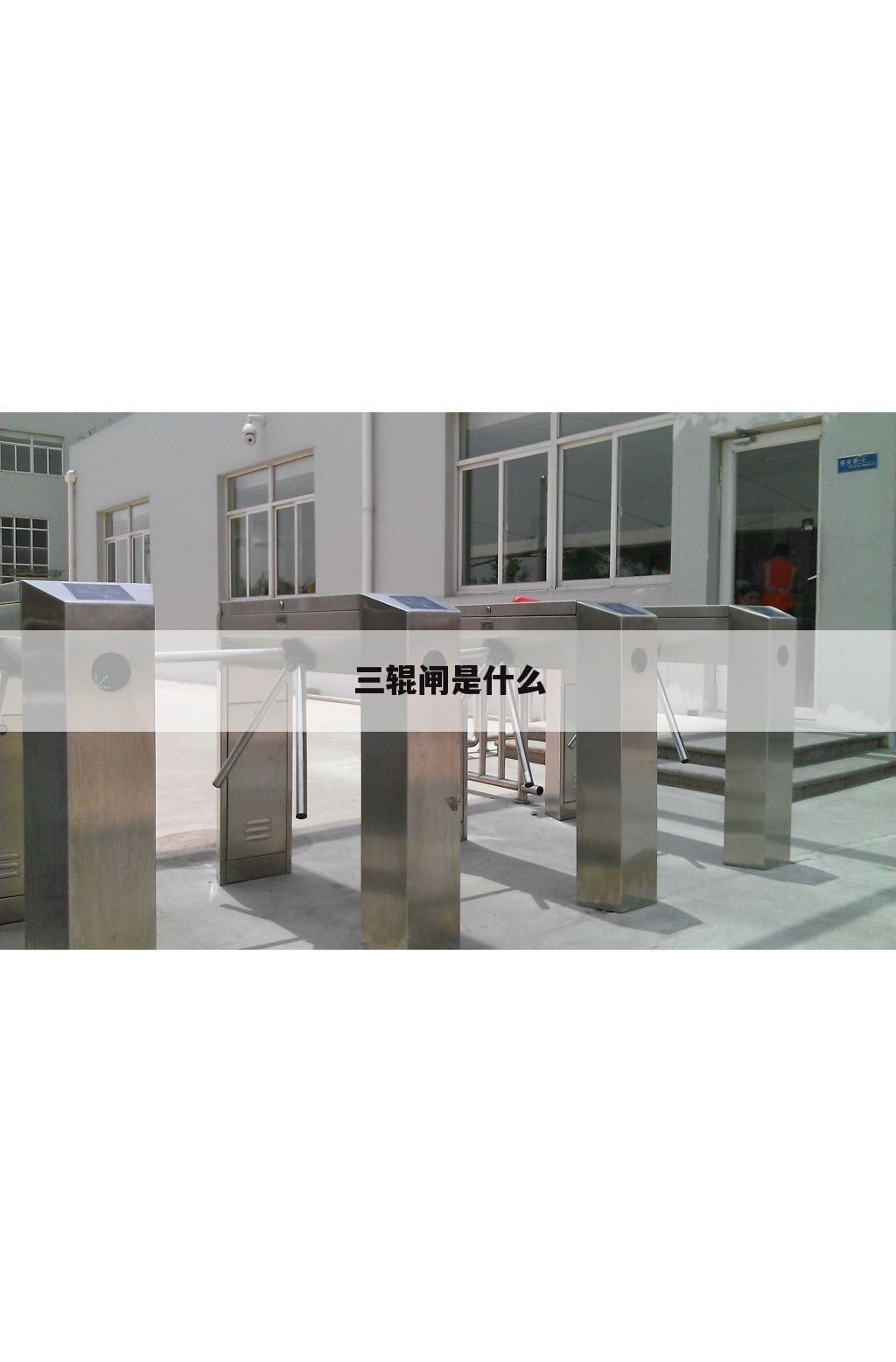 三辊闸是什么