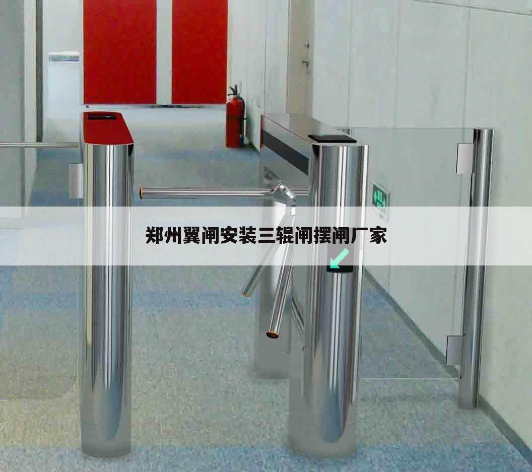 郑州翼闸安装三辊闸摆闸厂家