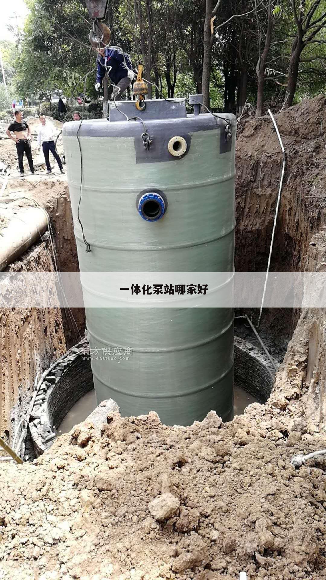 一体化泵站哪家好