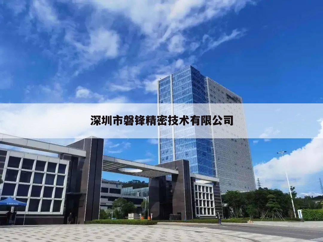 深圳市磐锋精密技术有限公司