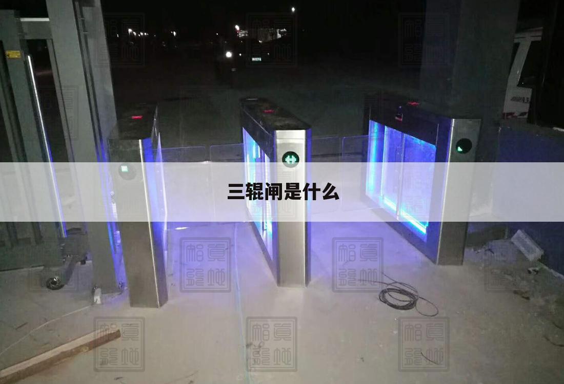 三辊闸是什么