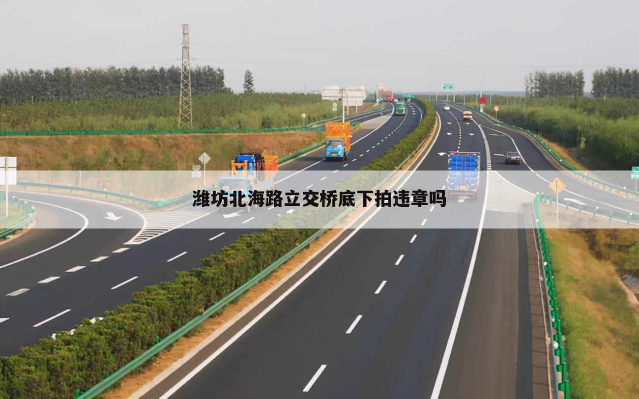 潍坊北海路立交桥底下拍违章吗