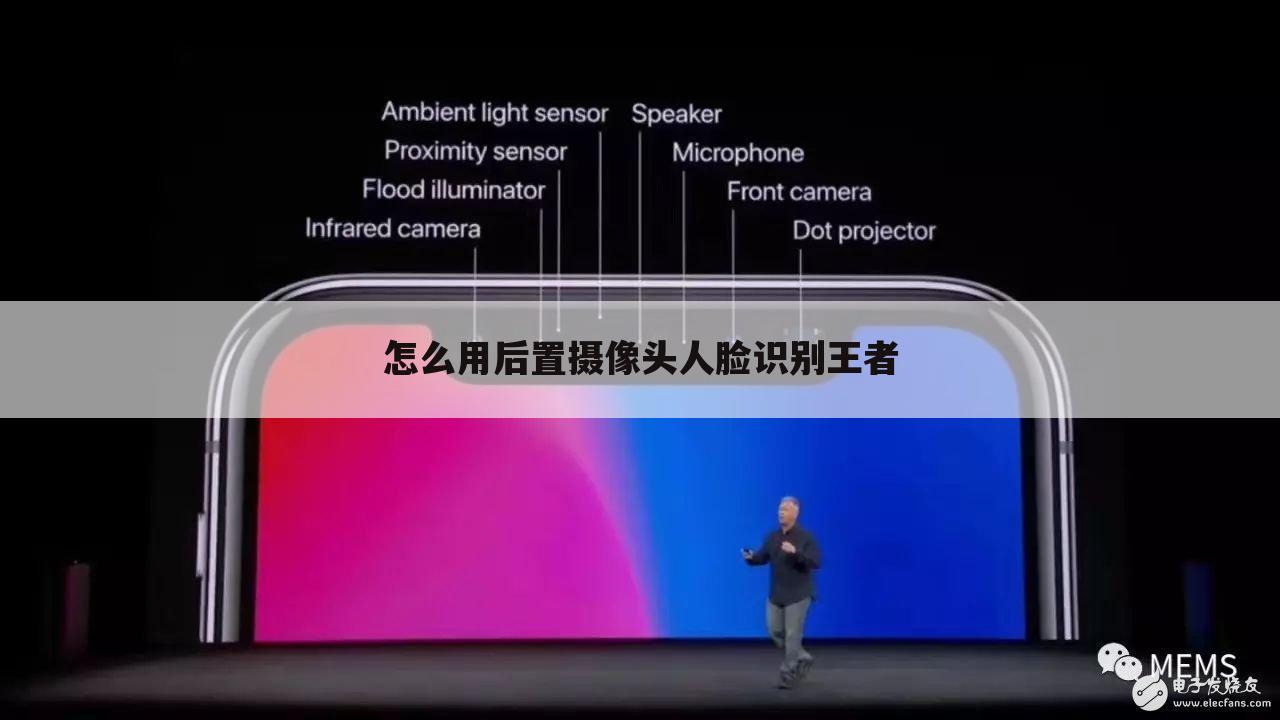 怎么用后置摄像头人脸识别王者