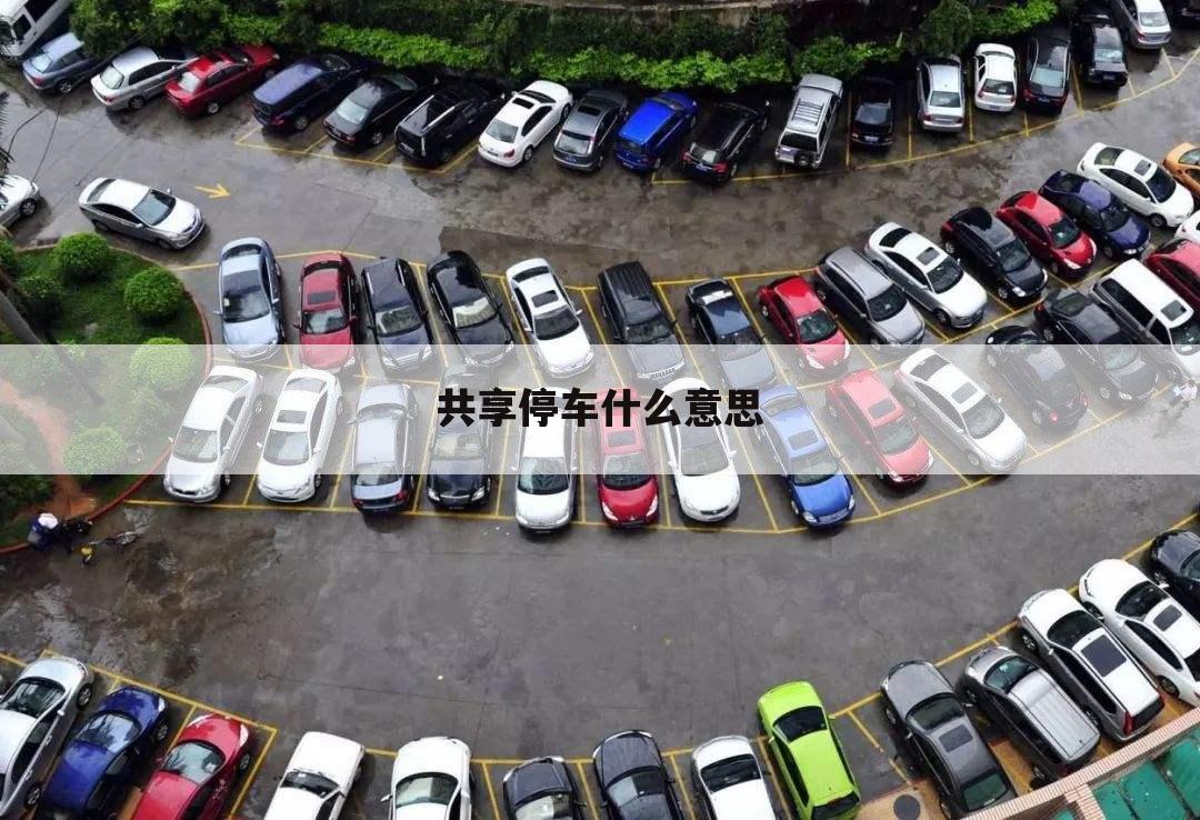 共享停车什么意思