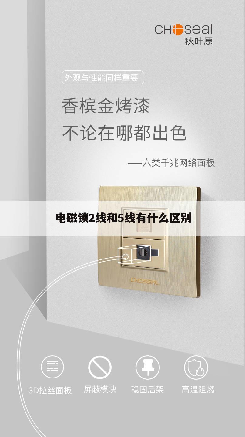 电磁锁2线和5线有什么区别