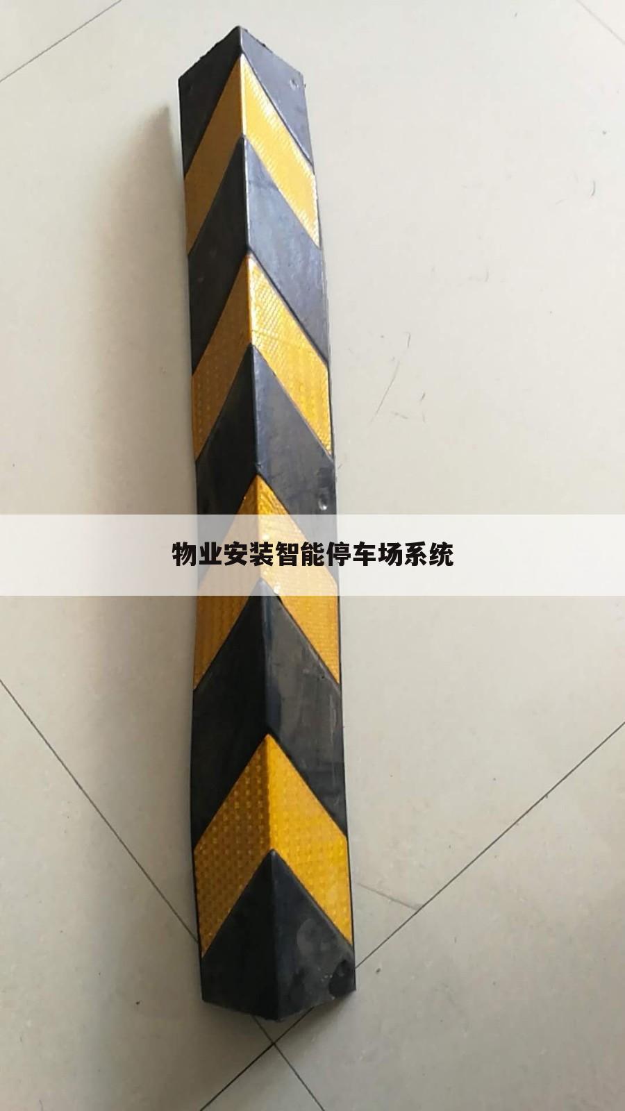 物业安装智能停车场系统