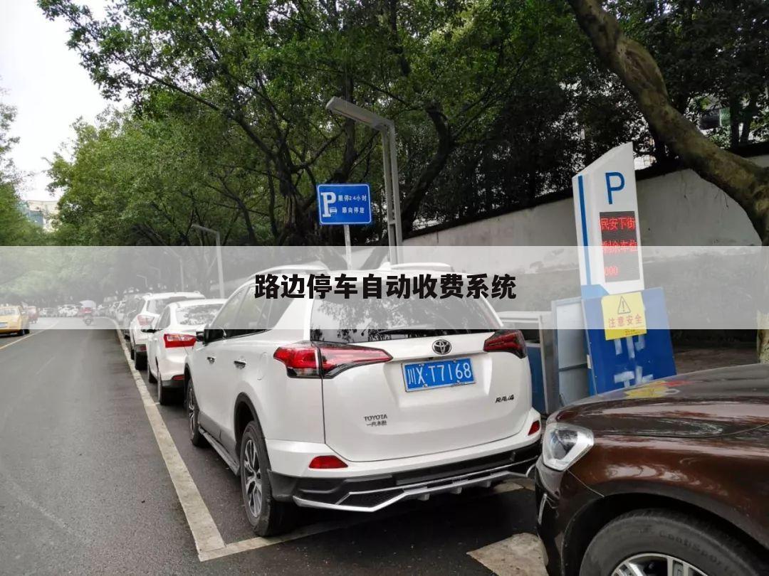 路边停车自动收费系统