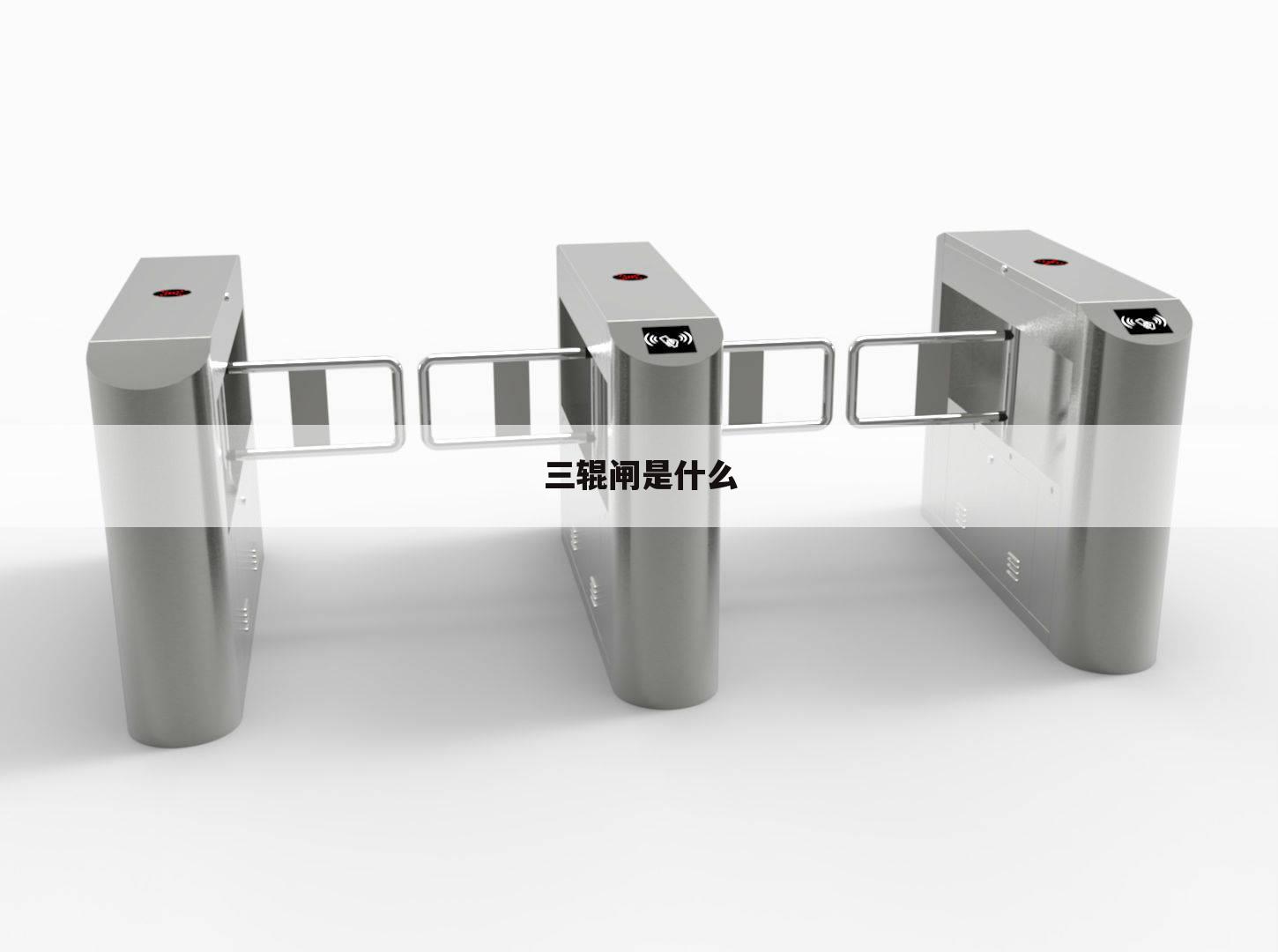 三辊闸是什么