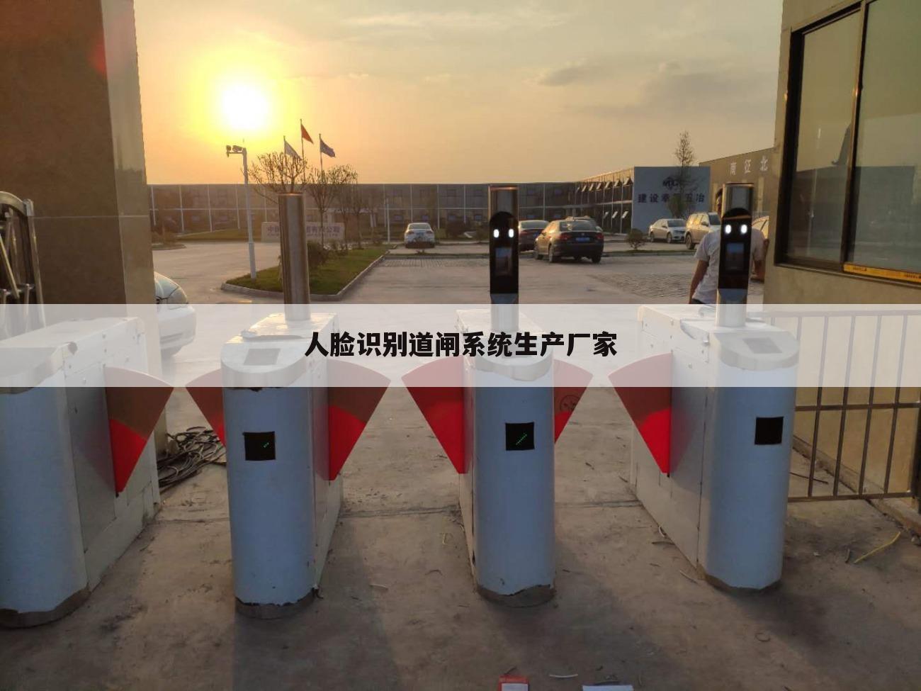 人脸识别道闸系统生产厂家