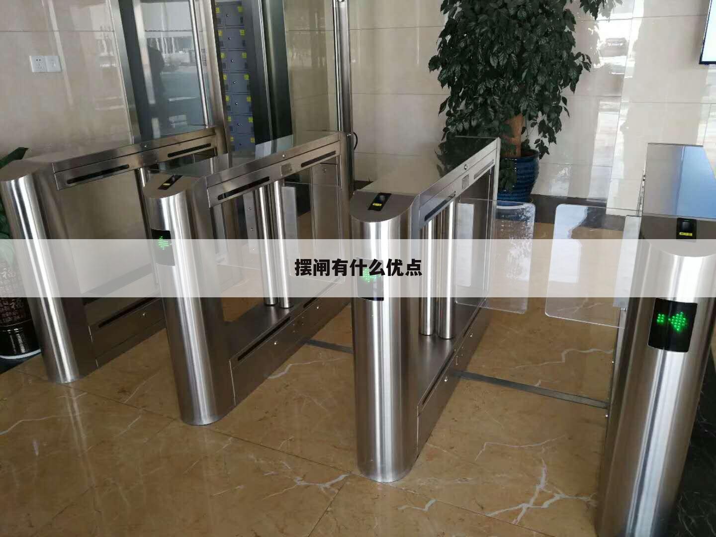 摆闸有什么优点