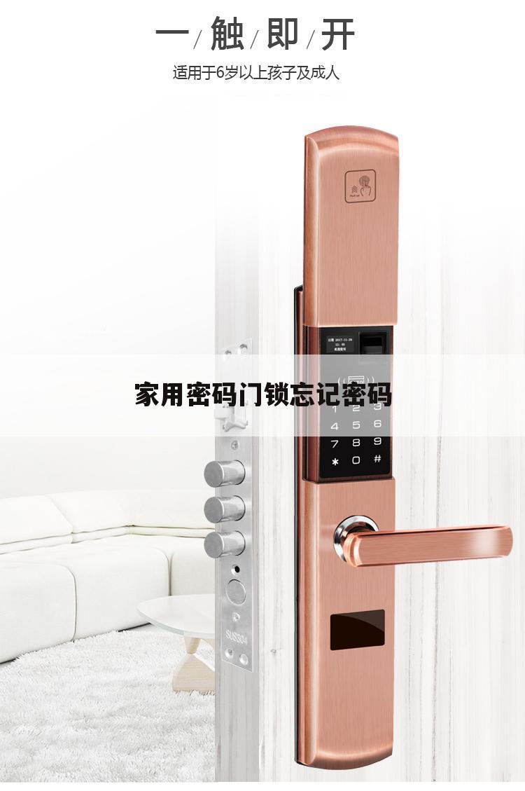 家用密码门锁忘记密码