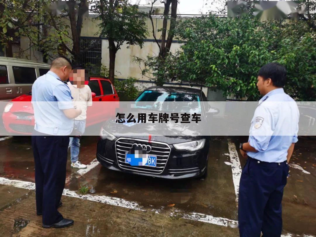 怎么用车牌号查车