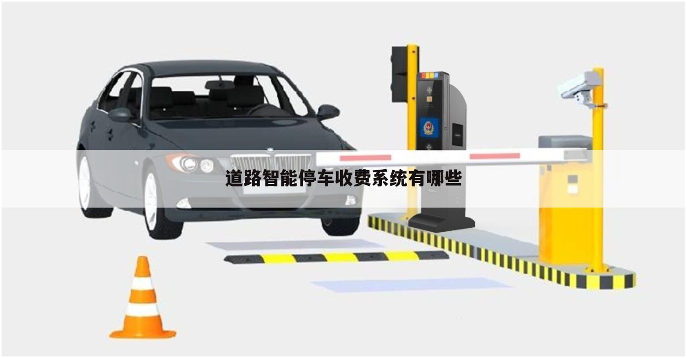 道路智能停车收费系统有哪些