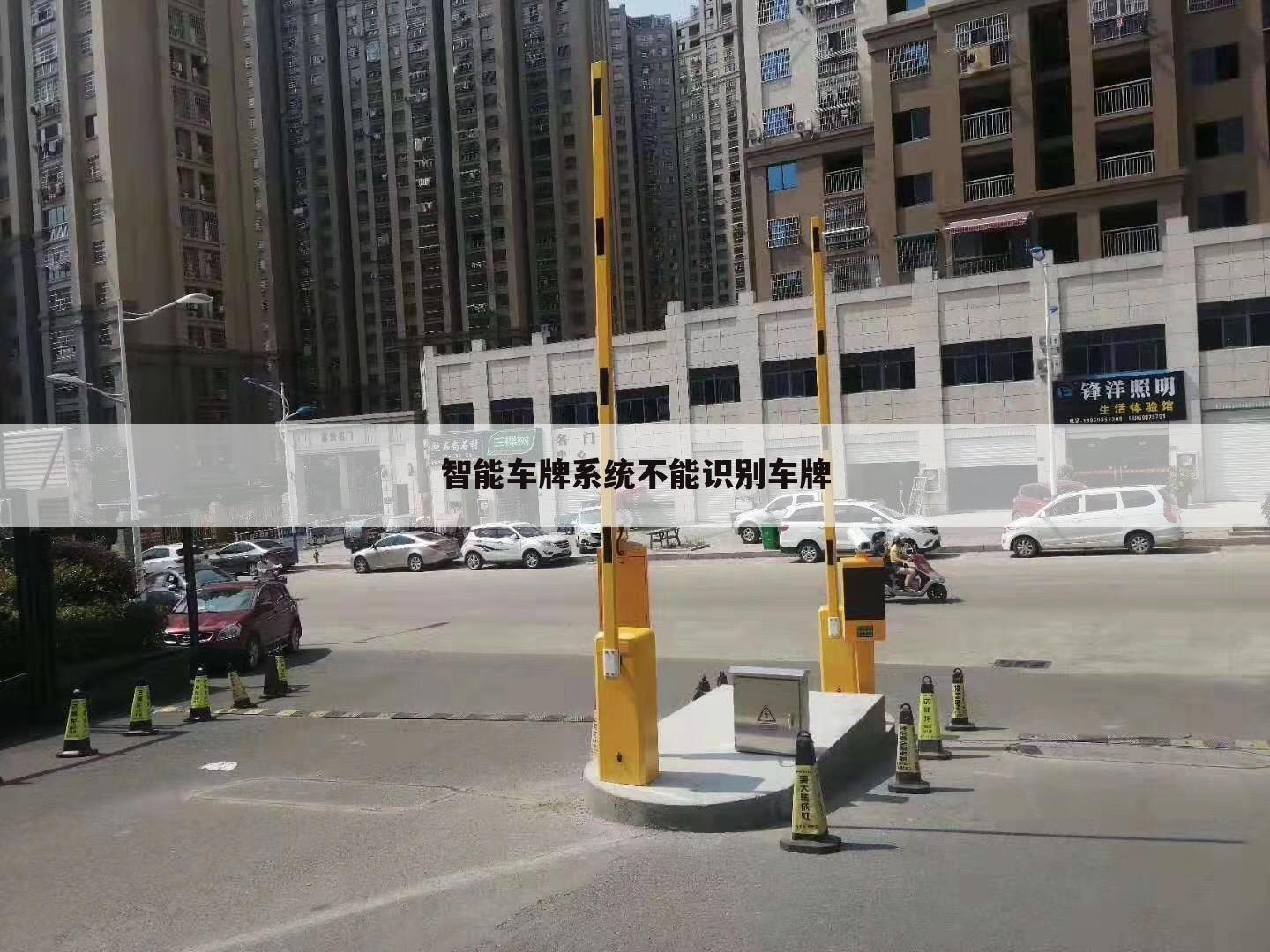 智能车牌系统不能识别车牌