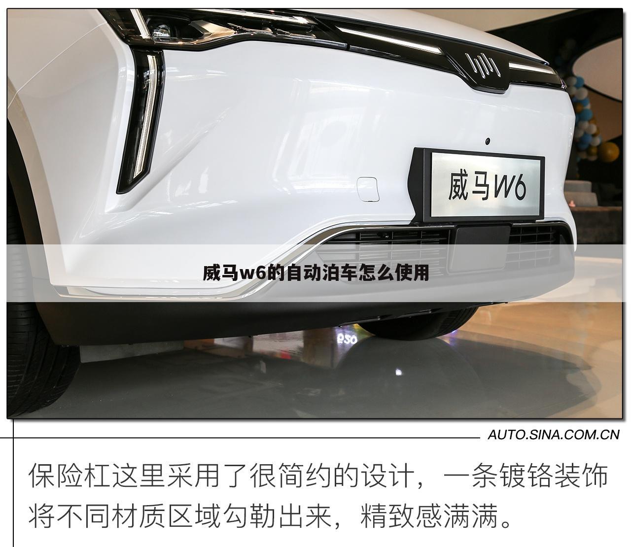 威马w6的自动泊车怎么使用