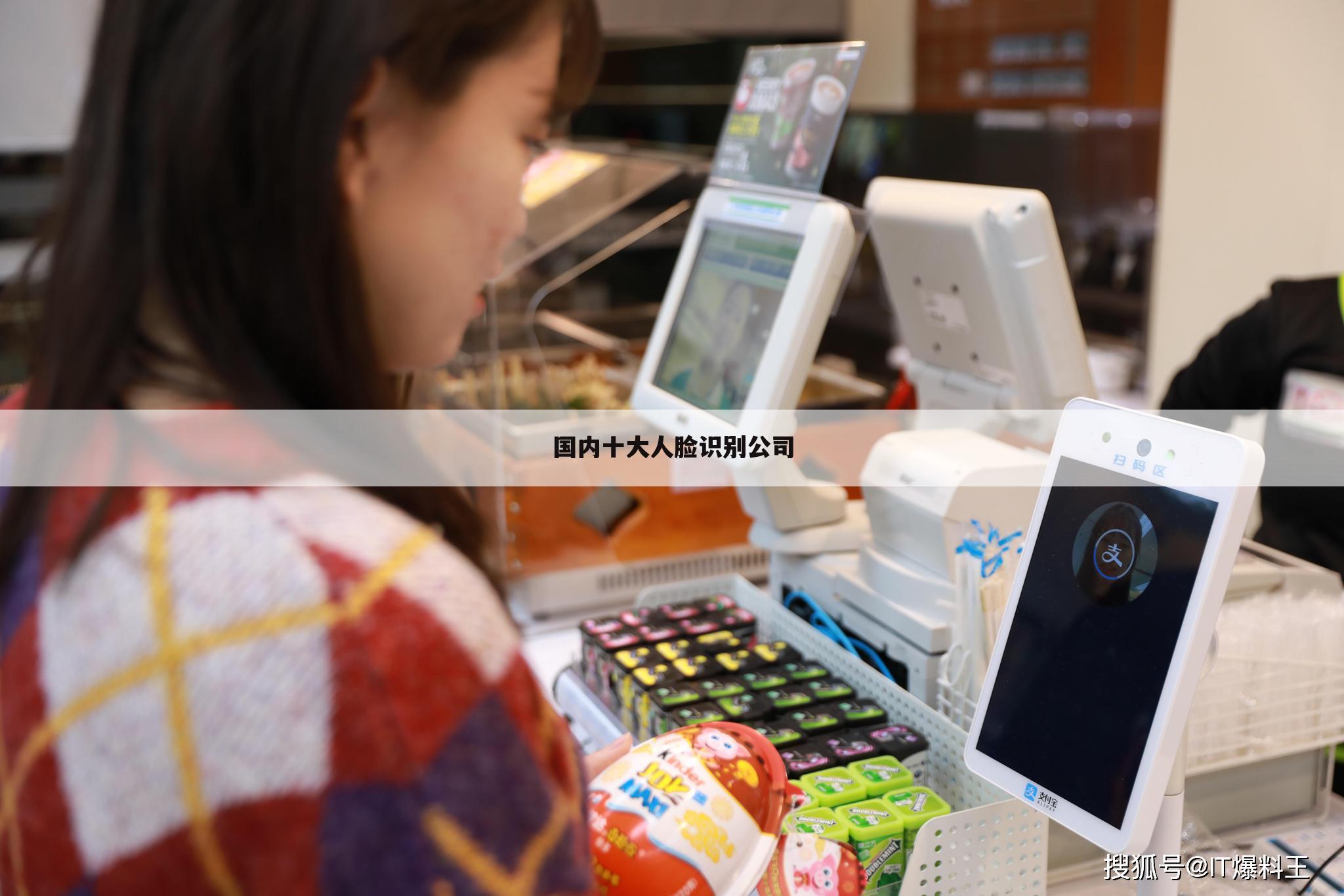 国内十大人脸识别公司