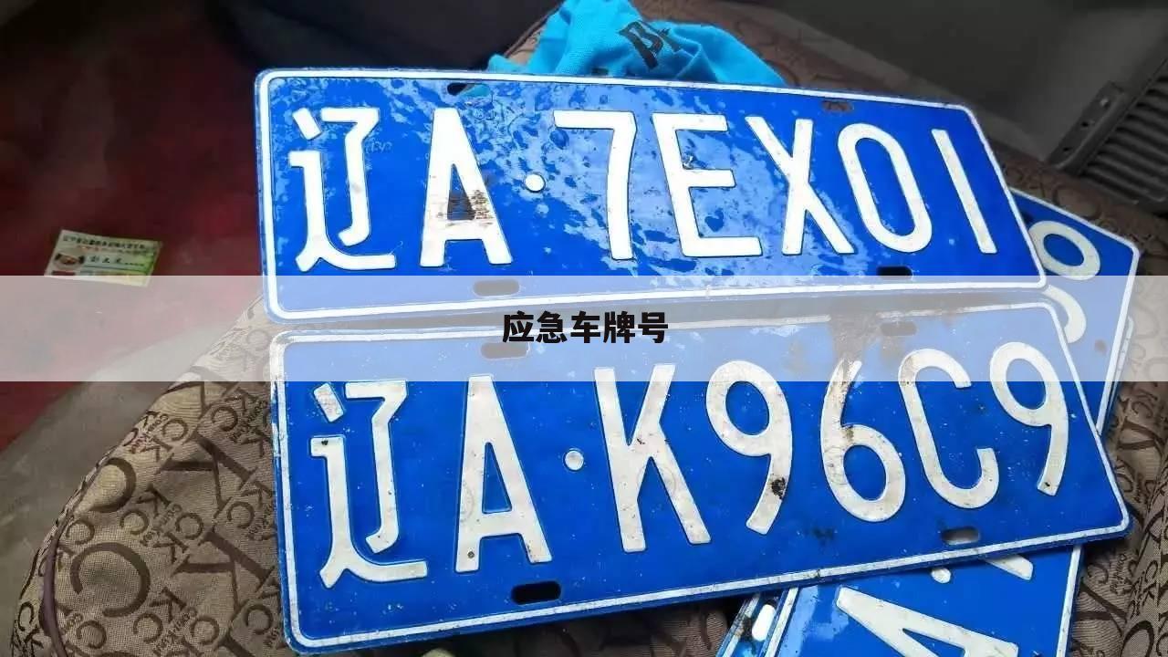 应急车牌号